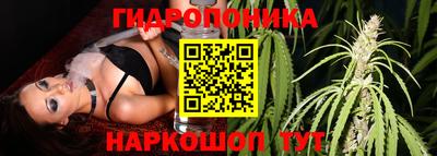 герыч Новозыбков