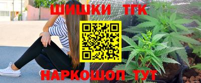 spice Новодвинск
