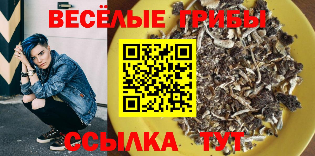 Галлюциногенные грибы Cubensis  Галлюциногенные грибы GOLDEN TEACHER  Усолье-Сибирское  Вход с VPN 